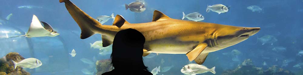Aquarium Barcelone